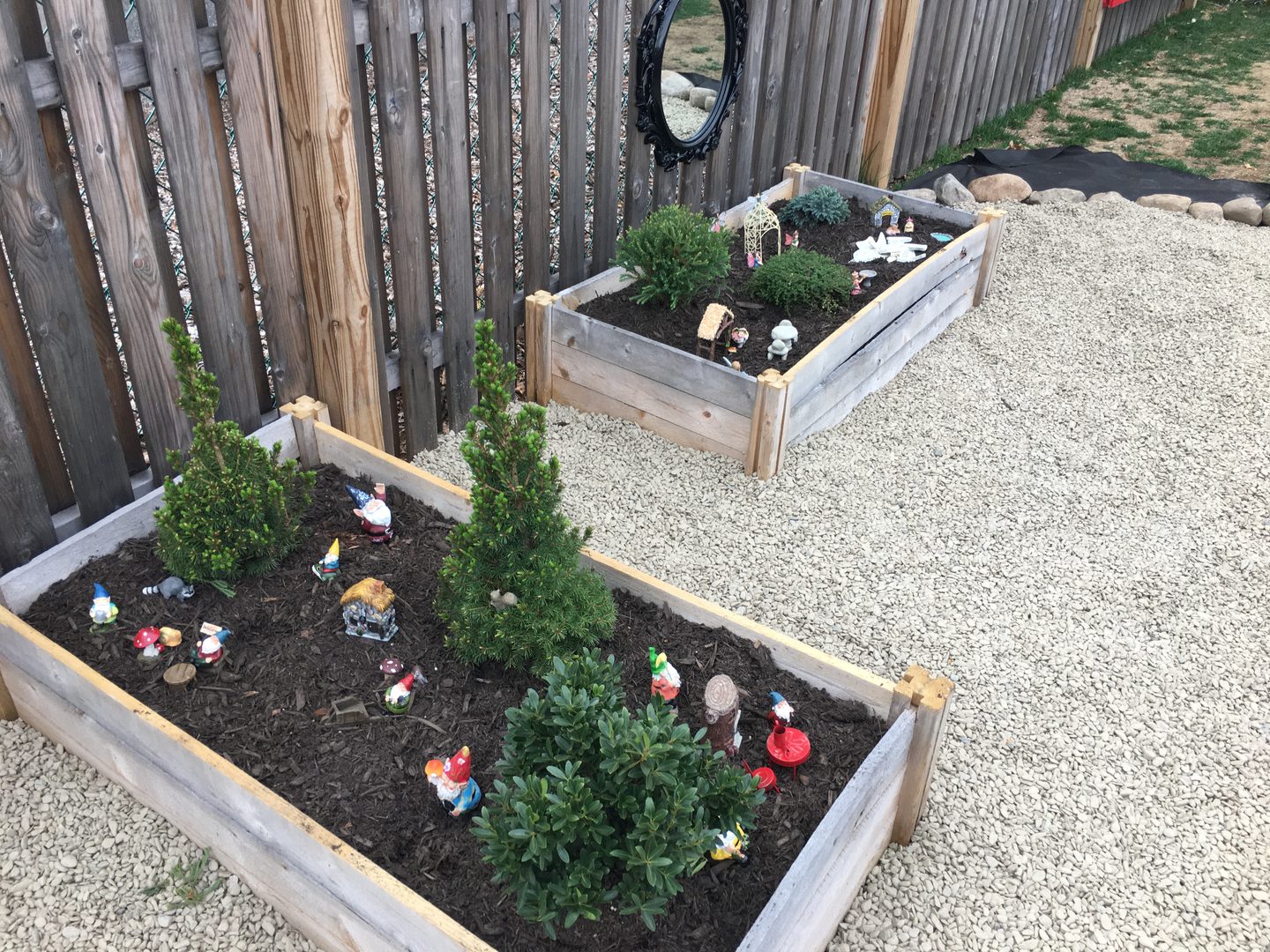 Garden beds with gnomes and small bushes.